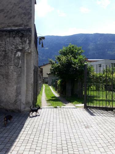 Tirano In Relax