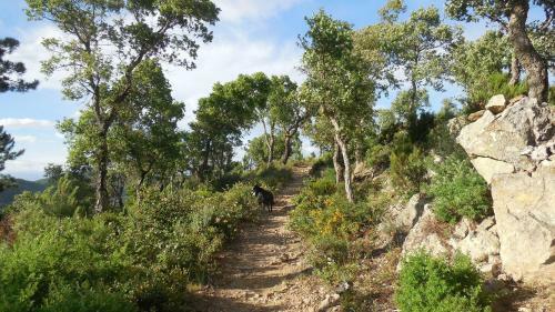 La Bergerie