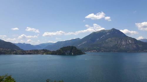 Ortensia Lake Como