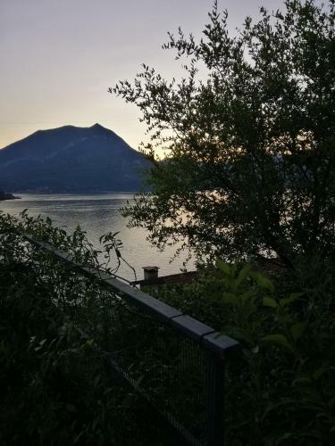 Ortensia Lake Como