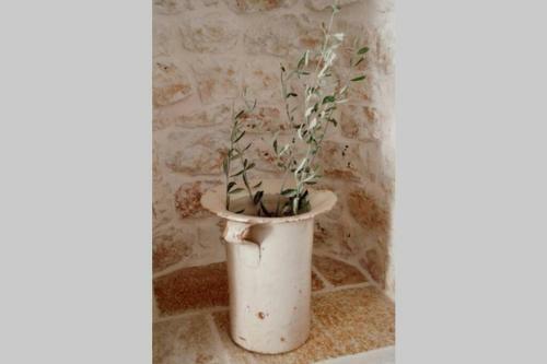 Apartamento Villa Trulli