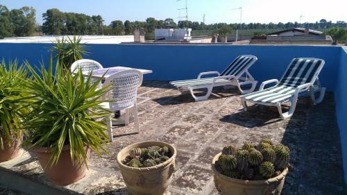 Apartamento Gecko's House