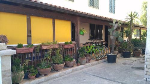 Apartamento Gecko's House