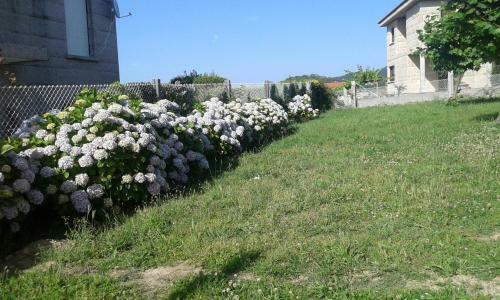 Apartamento Novas Foxos (�tico)