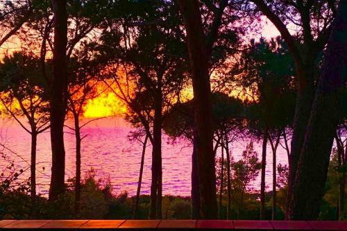 Apartamento Marina Bay Sardinia