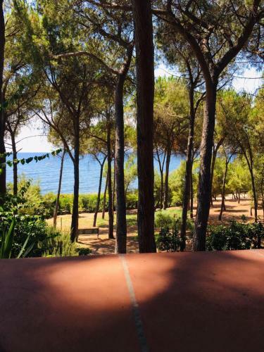 Apartamento Marina Bay Sardinia