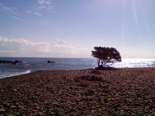 Apartamento Appartamento Montearista