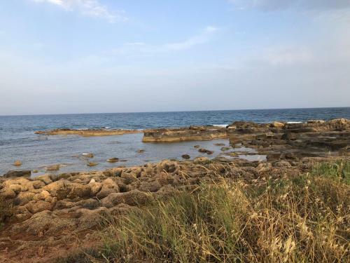 L'uliveto Sul Mare - Libeccio