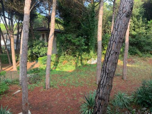 Apartments In Eraclea Mare 25559