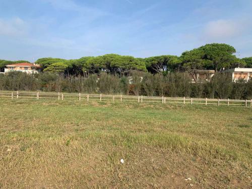 Apartments In Eraclea Mare 25559