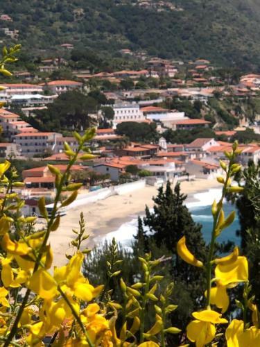 Bed & Breakfast Le Terrazze Capo Vaticano