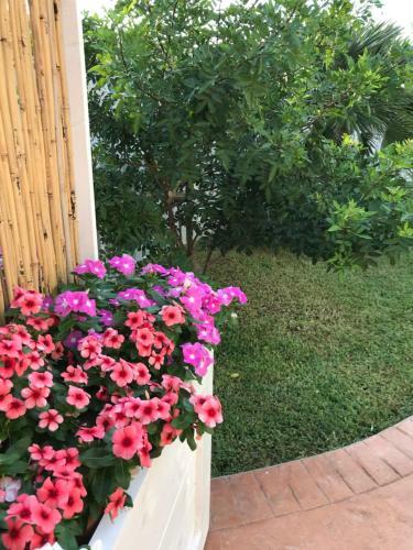Apartamento Bilocale Relax