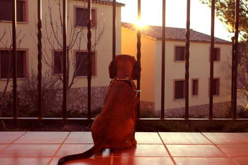 Hostal Los Cl�sicos De Cuenca