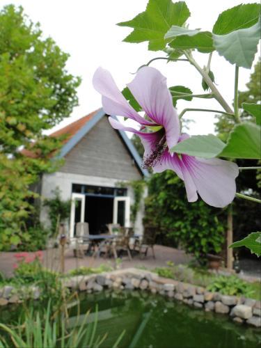 B&B De Lotus