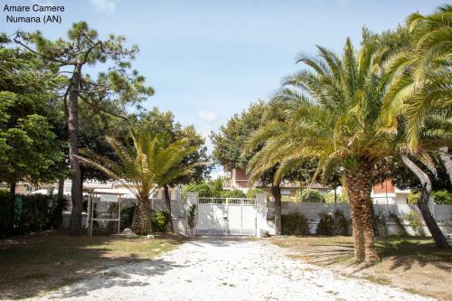 Hostal Amare Camere