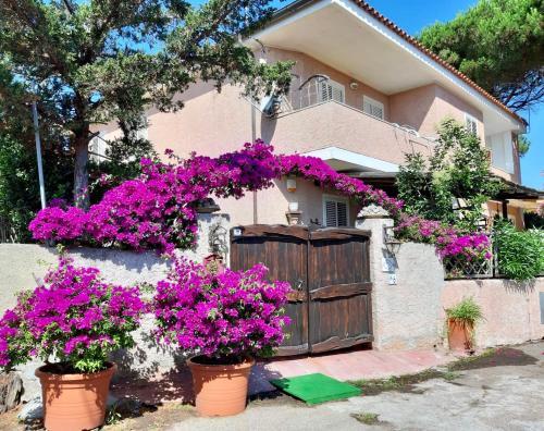 Apartamento Casa Angelika
