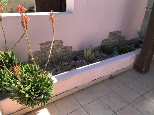 Villa A Schiera Porto Pozzo