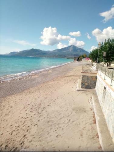 Apartamento La Casa Gialla Nel Cilento