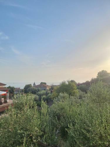 Apartamento La Casa Gialla Nel Cilento