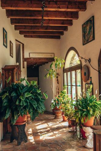 Posada Le Petit Chateau