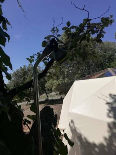 Camping Sous Les �toiles