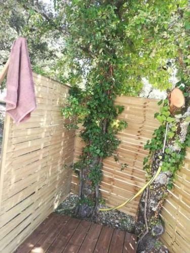 Camping Sous Les �toiles
