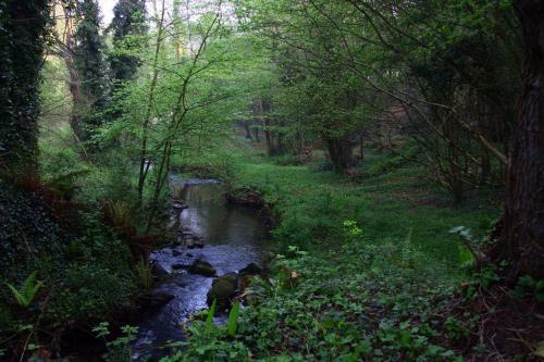 La Ferme Des Daims