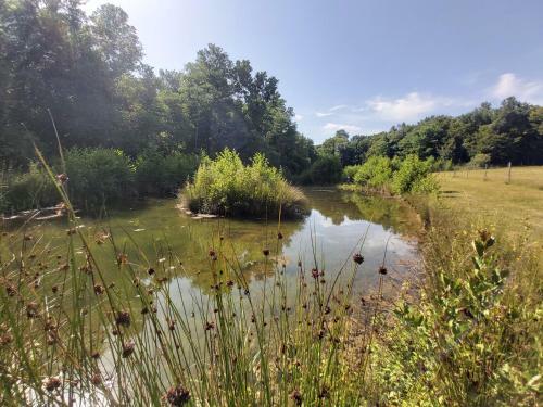 Villa Ch�teau La Bastide Cardan
