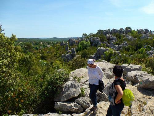 Bed & Breakfast Logis Des Magnans -les Terrasses Du Coutach -