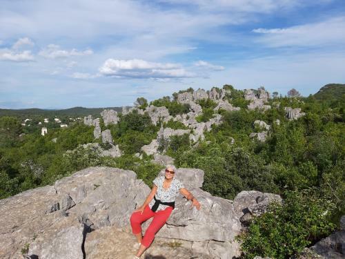 Bed & Breakfast Logis Des Magnans -les Terrasses Du Coutach -