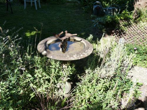 Bed & Breakfast Maison Chaumont