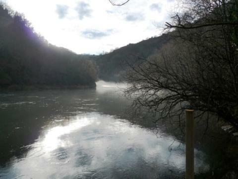 Les Glycines Du Lot