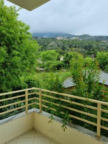 Hotel Villa Marko