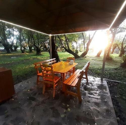 Hotel Golden Tree