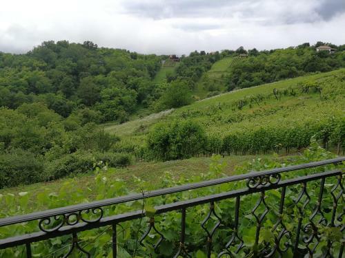 Mara's Vineyard House