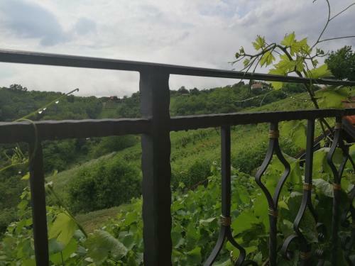 Mara's Vineyard House