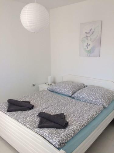Apartment M&m