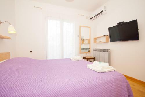 Apartment Zvone