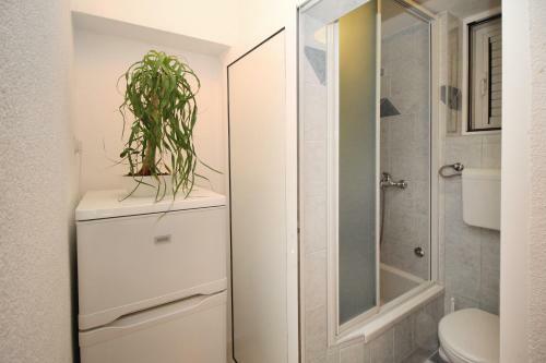 Apartamentos House Vera