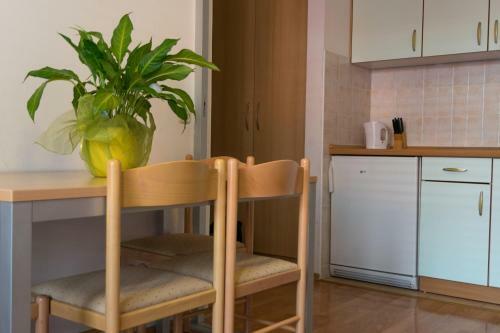 Apartamentos House Vera