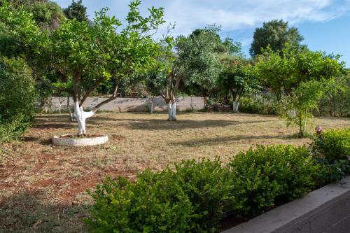 Villa Athina