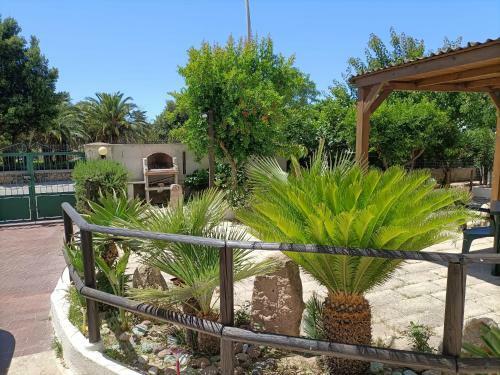 Hostal Mony's Island B&B