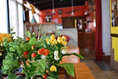 Hostal Mony's Island B&B