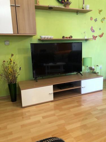 Apartment Ru?a