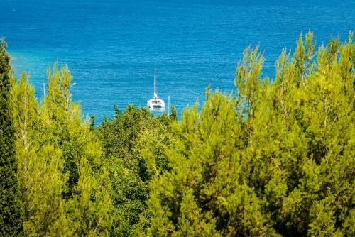 Apartamentos Villa Niki 2