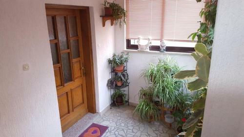 Apartamentos App Marija