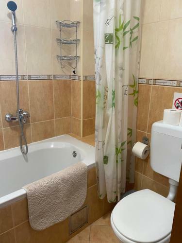 Aparthotel Apartments Villa Viktoria