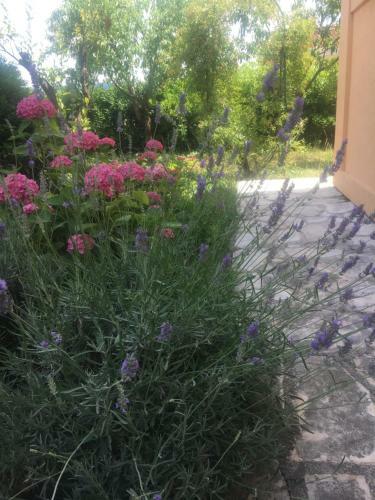 Aparthotel Apartments Villa Viktoria