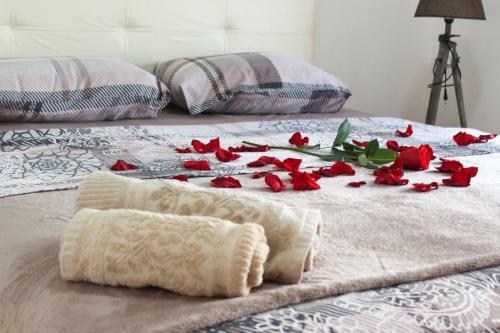 Apartman Duka