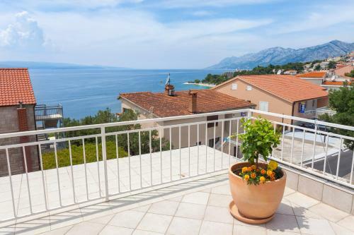 Hostal Guest House Ivan Ledic